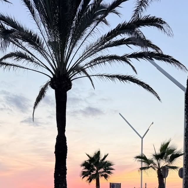 Aurora Becarelli — Azura Mallorca